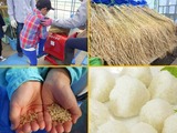 ①脱穀おにぎり