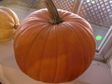 ハロウィン用かぼちゃ
