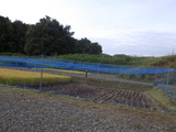 RIMG1820