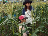 DSCF6749