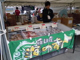 DSCN1216