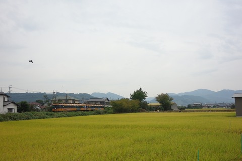 DSC07438