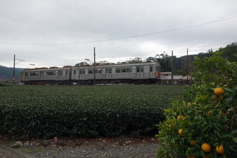 DSC00607