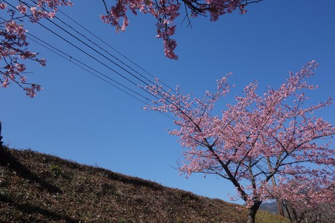 DSC02235