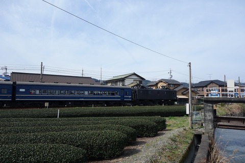 DSC02995