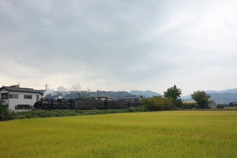 DSC07470