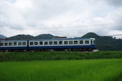 DSC03247