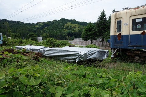 DSC09959