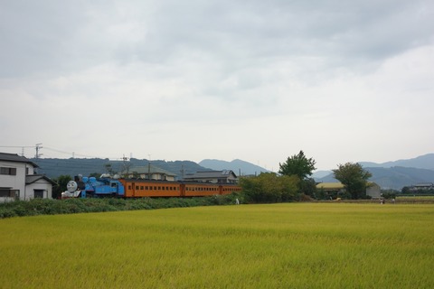 DSC07446