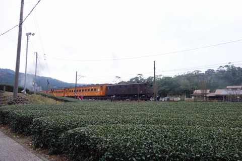 DSC00640