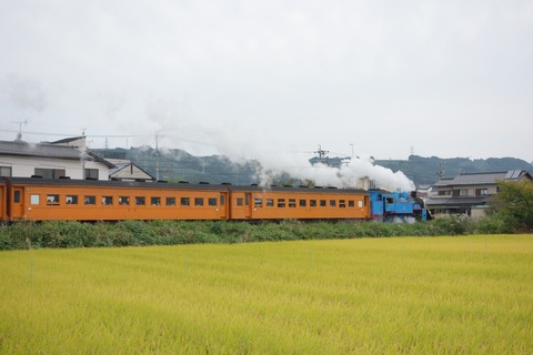 DSC07384
