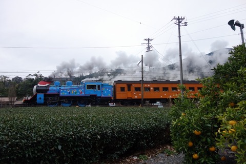 DSC00635