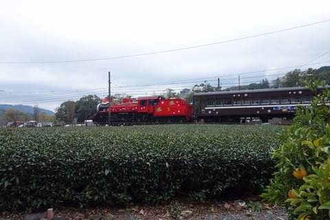 DSC00616