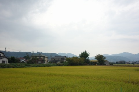 DSC07463