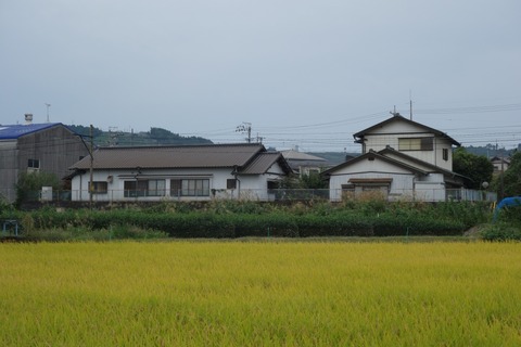 DSC07360