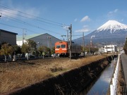 IMG_5182