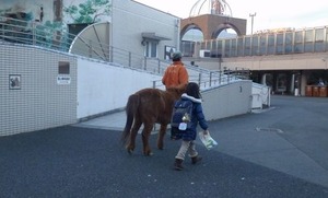 野間馬さん帰宅中