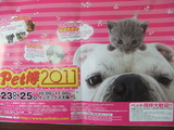 Pet博2011のポスター