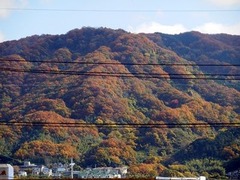 色づく生駒山