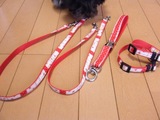 スイベルとナスカンを利用して作った二頭引きリード