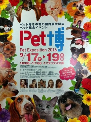 ペット博2016大阪の開催チラシ