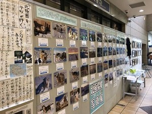 山崎哲秀さんの活動報告展パネル2