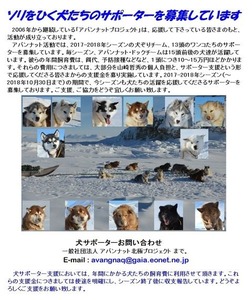 2017-2018犬橇犬サポーター募集