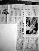 掲載新聞記事