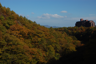谷沢川にかかる谷川橋からの紅葉の眺め