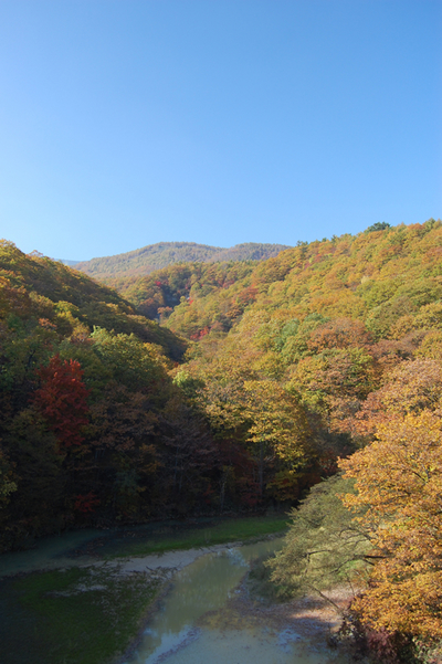 谷沢川にかかる谷川橋からの紅葉の眺め