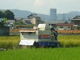 SANY0687