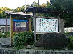 SANY6793biwa11