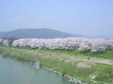 SANY0644