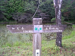 SANY6785biwa5