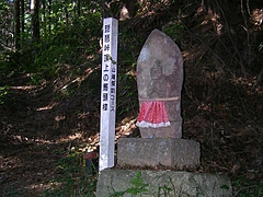 SANY6783biwa3