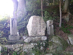 SANY6781biwa1