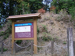 SANY6789biwa8