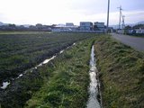 SANY0753