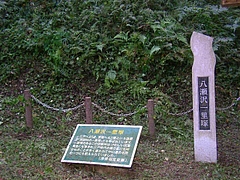 SANY6784biwa4