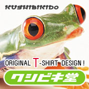�����ӥ�Ʋ�ʾ���