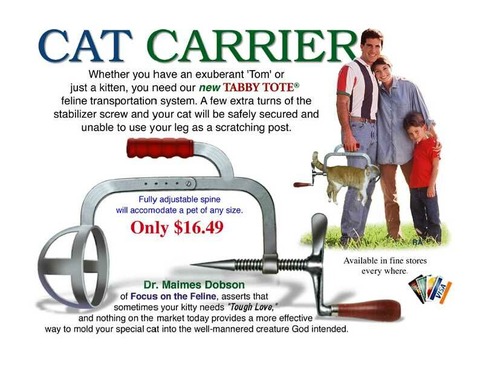 catcarry