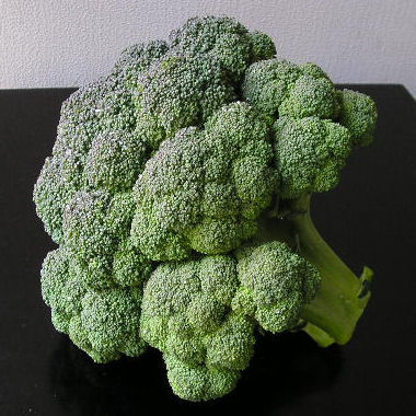 broccoli2