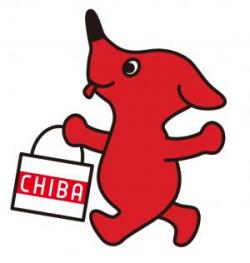 chiba-kun-kaimono