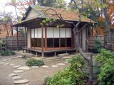 a81822e8.jpg