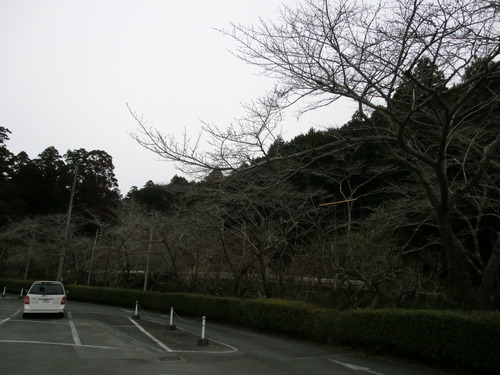 CIMG7533