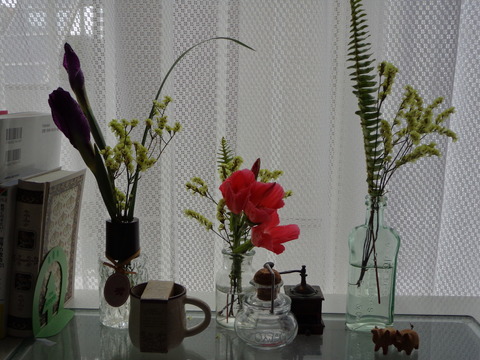 DSC00641