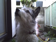 PICT0006