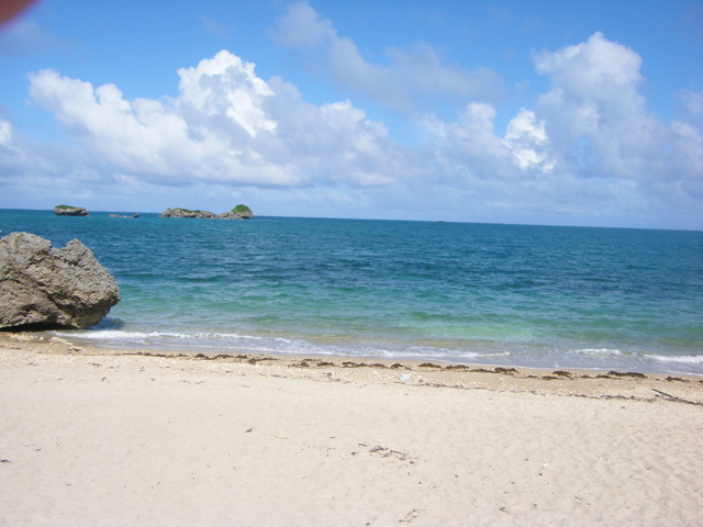 20100823 070