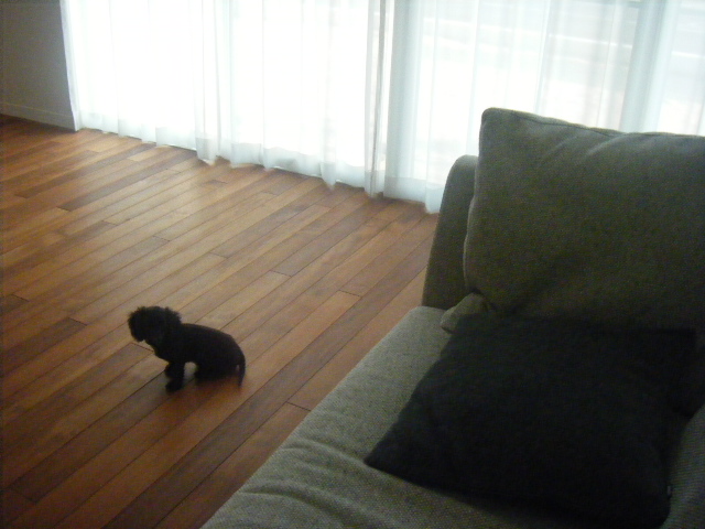 20080316 053