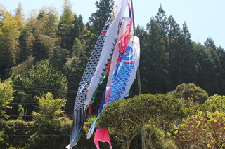 画像 2431